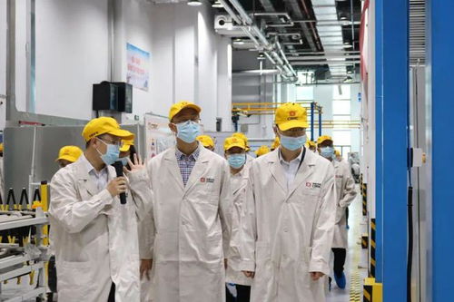 打響縣域品牌 以“三個(gè)高地”戰(zhàn)略構(gòu)建最美茶陵品牌陣營的數(shù)字化路徑