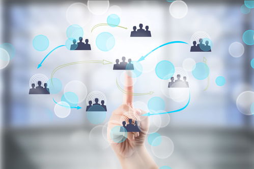 線上教育破局之道 以“硬實(shí)力”軟件開發(fā)鑄就核心競爭力